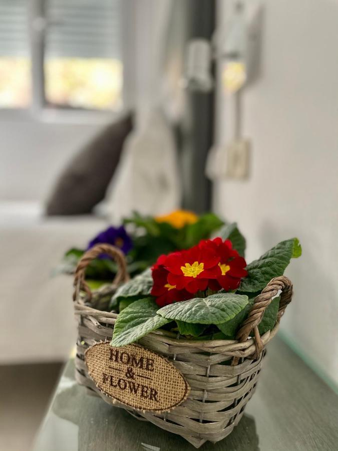 Guest house Lleida
